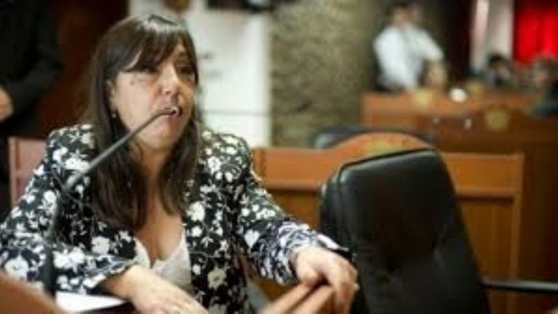 Catamarca: Advierten que el Juzgado de Minas resolvió contra los intereses de la Provincia en conflicto limítrofe