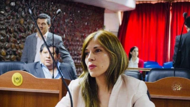 Catamarca/Agua Rica: Para diputada opositora "si la Provincia desea la Licencia Social debe dialogar con todos"