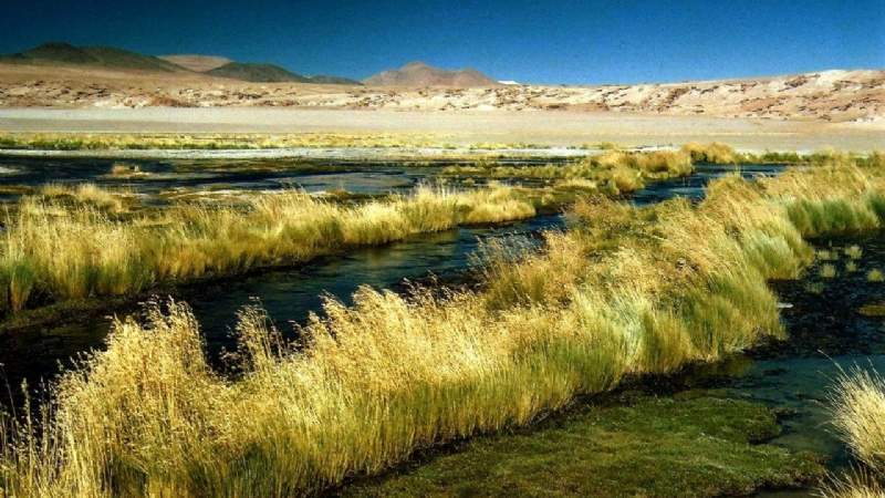 Catamarca: Estiman que hay 200 trabajadores mineros perjudicados por la paralización de la actividad de producción de litio en Antofagasta de la Sierra