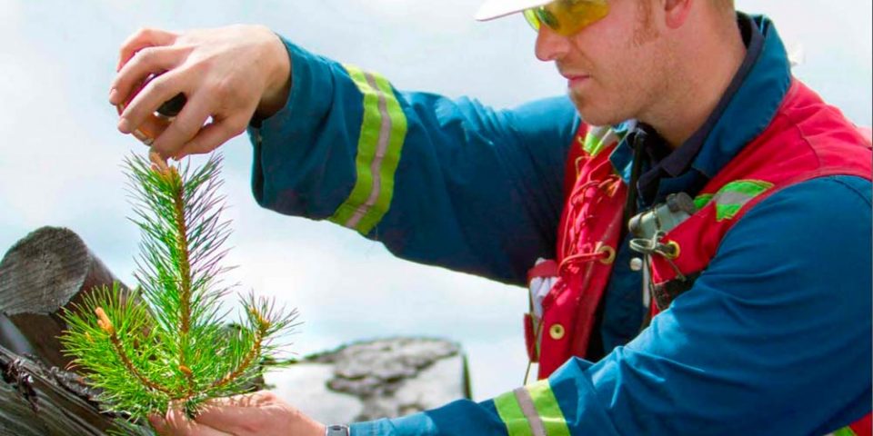 Analizan la coexistencia de minería y turismo como alternativas de desarrollo en Argentina