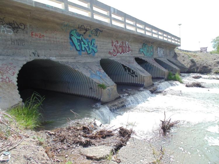 AOMA SANTA CRUZ donó 60 litros de pintura para la restauración del puente del Río Fénix