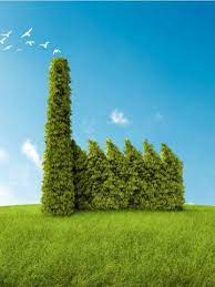 Argentina quiere fondeo verde: el FMI midió cuánto contamina, sector por sector Argentina quiere fondeo verde: el FMI midió cuánto contamina, sector por sector