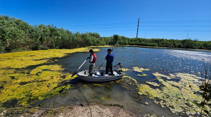 Buenos Aires/Canteras abandonadas: estudian sus características para evaluar su posible aprovechamiento para la siembra de pejerreyes