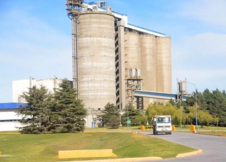 Buenos Aires En enero, los despachos de cemento cayeron a un mínimo histórico