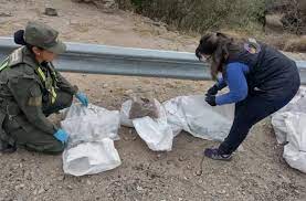 Catamarca: En el Portezuelo secuestraron un cargamento de 700 kilos de sustancia mineral "testigo"