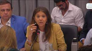 Catamarca: Silvana Ginocchio y la postura sobre YMAD en el debate en el Congreso