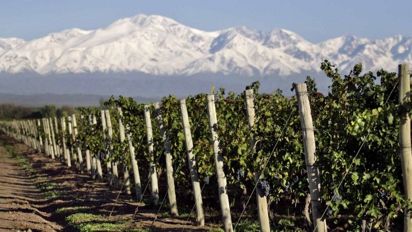 Mendoza: Cómo convertir el cambio climático en una oportunidad