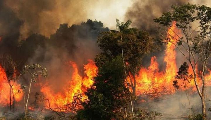 Críticas cruzadas por los incendios en el Amazonas