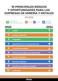 Cuáles son los 10 principales riesgos para las empresas mineras en 2025 y cuáles ataca el RIGI Cuáles son los 10 principales riesgos para las empresas mineras en 2025 y cuáles ataca el RIGI
