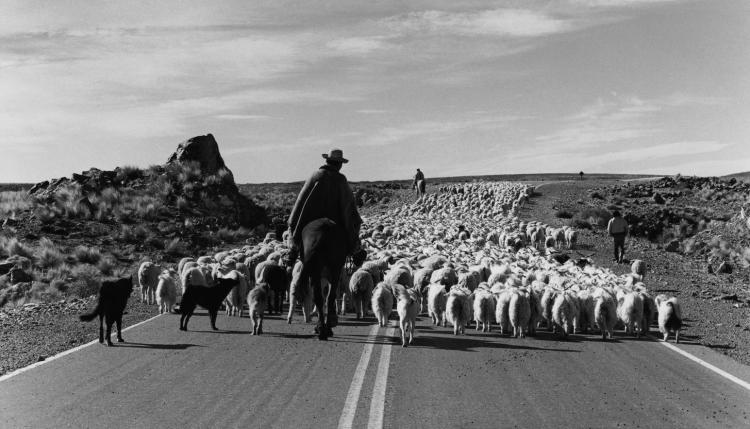 ¿De qué hablamos cuando hablamos de derrota cultural?, Por José Natanson