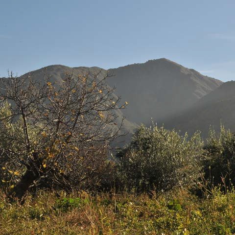 Catamarca: Minera Alumbrera y el Desarrollo Sostenible en Andalgalá