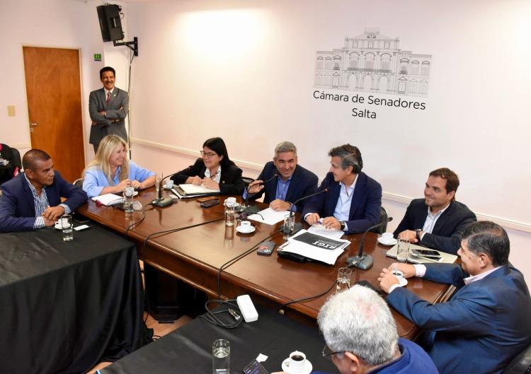 El Senado de Salta escuchó los avances mineros de la provincia