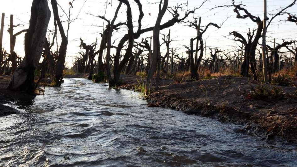 El mendocino y el medio ambiente - Por Natalia Casadidio