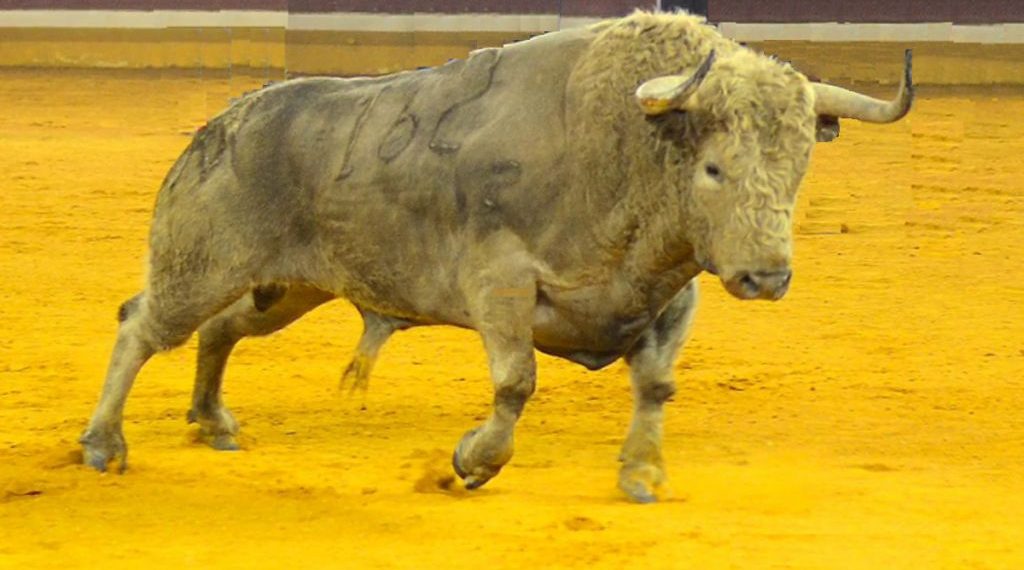 El oro sigue al alza y el toro bravo sigue embistiendo por encima de los 1.330 dólares