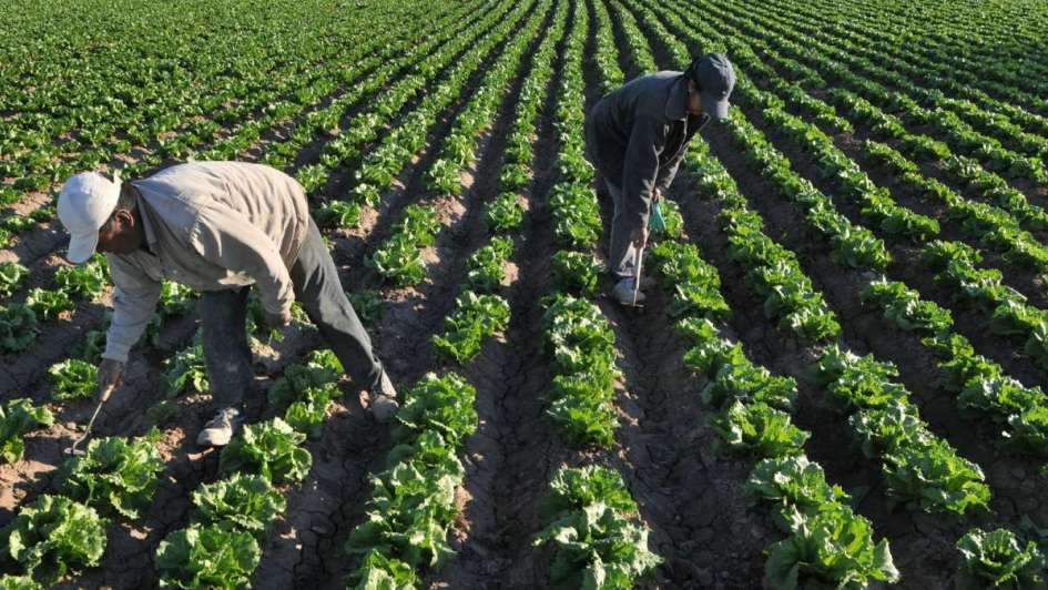 Mendoza: El sector agrícola le pidió al gobernador Suárez que no modifique la 7722