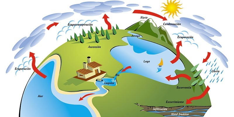 El uso vs el consumo (del agua)