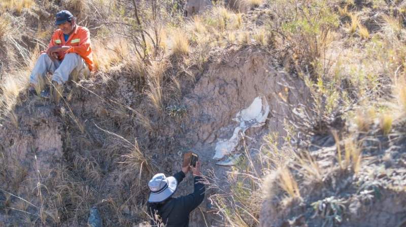 Catamarca: En Andalgalá encontraron restos de un animal prehistórico