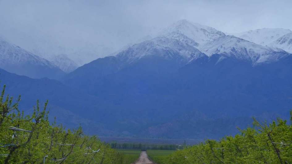 Mendoza: En Valle de Uco, áreas naturales y glaciares impiden la minería