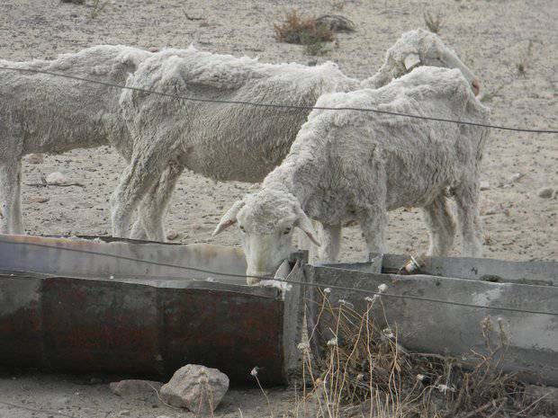 Río Negro: Especialistas procesos volcánicos estarán en el INTA Bariloche