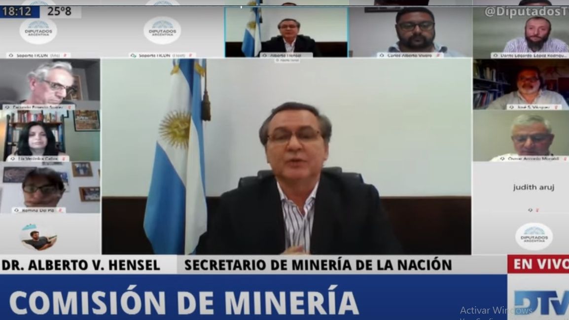 Hensel aseguró que la minería puede multiplicar su actual desempeño exportador del 0,6%