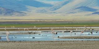 Jujuy: El increíble espejo de agua donde se profundiza un conflicto por el litio que lleva más de 14 años