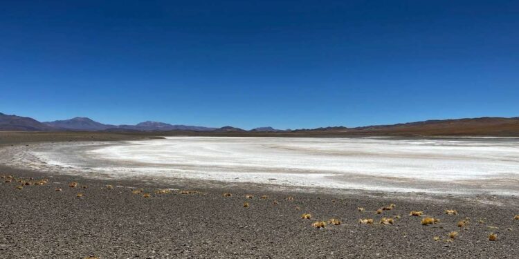 Jujuy: Patagonia Lithium avanza hacia la producción de litio con nuevos estudios y perforaciones Jujuy: Patagonia Lithium avanza hacia la producción de litio con nuevos estudios y perforaciones