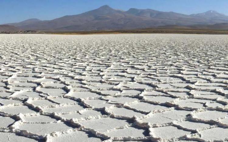 La fiebre por el litio se acelera en el norte de Argentina La fiebre por el litio se acelera en el norte de Argentina