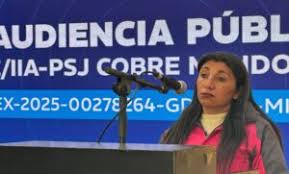 La minería y el "compre local": la competencia de Chile pone en guardia a tres provincias y sus empresas La minería y el "compre local": la competencia de Chile pone en guardia a tres provincias y sus empresas