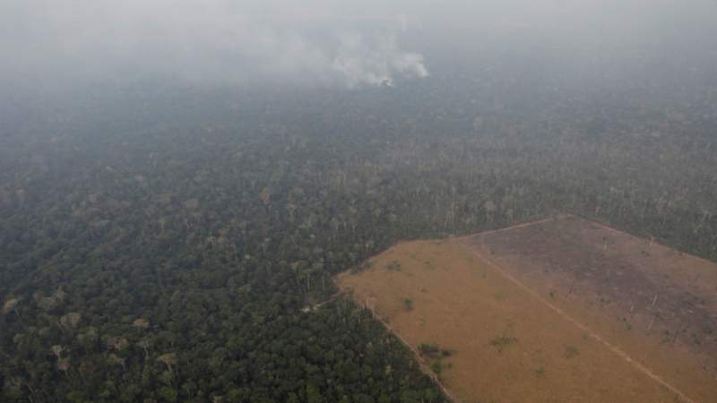 Las reveladoras palabras de una indígena brasileña que anticipó los graves incendios en la Amazonia