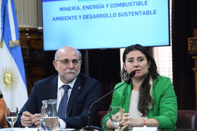 Laura Delgado sostuvo que "la minería está en un momento crítico en la provincia" Laura Delgado sostuvo que "la minería está en un momento crítico en la provincia"