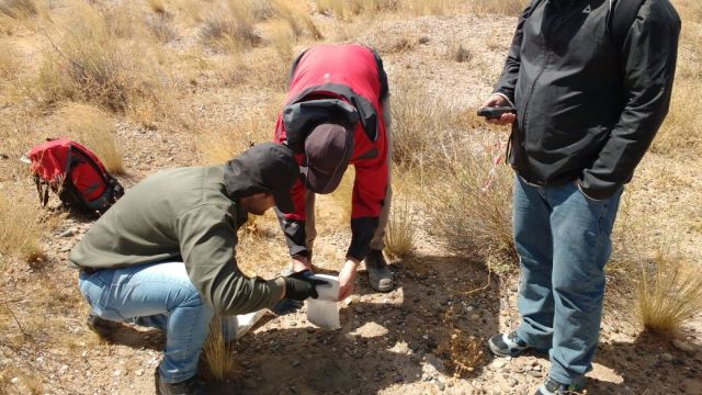 Río Negro: Medida cautelar urgente por la contaminación por plomo en San Antonio Oeste