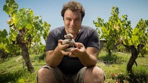 Mendoza: Alejandro Vigil preguntó por los impuestos de la minería y agitó las redes