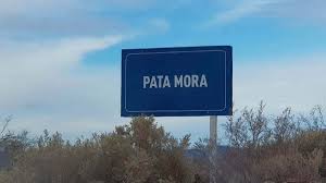 Mendoza lanza licitación internacional para elaborar los proyectos ejecutivos del Polo Logístico Pata Mora