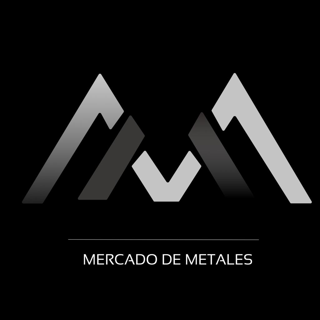 Se constituyó MERCADO DE METALES Y FUTUROS SA ARG