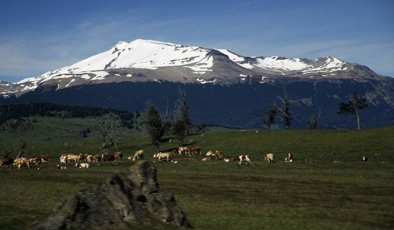 La inscripción por parte de una Minera de EEUU de más de 50 mil hectáreas para explotar oro en la Patagonia trajo una nueva polémica