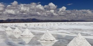 Catamarca: La Secretaría de Minería de la provincia no cuenta con información en relación a la adquisición de 6.500 hectáreas de tierras fiscales en Antofagasta de la Sierra,