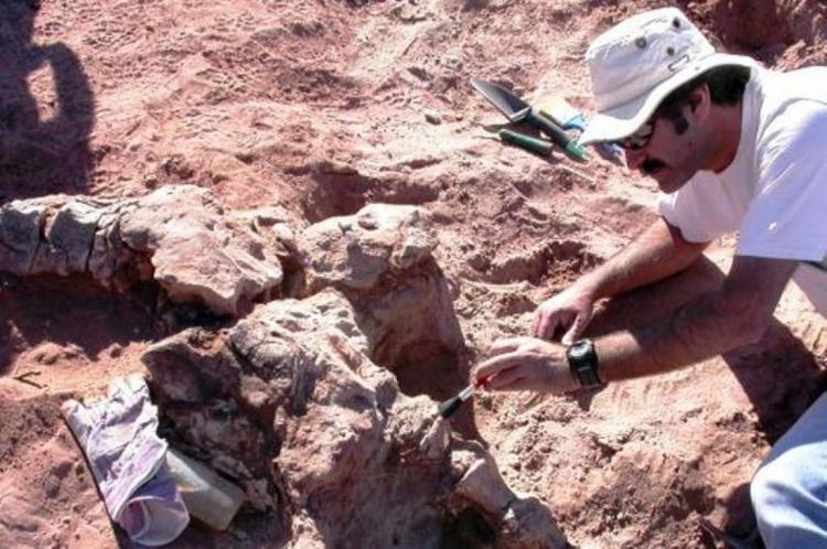 Neuquén: Los mineros neuquinos que tienen un dinosaurio en la familia