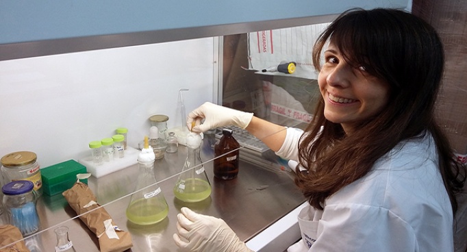 Nuevo financiamiento para investigaciones en remediación de metales pesados Nuevo financiamiento para investigaciones en remediación de metales pesados