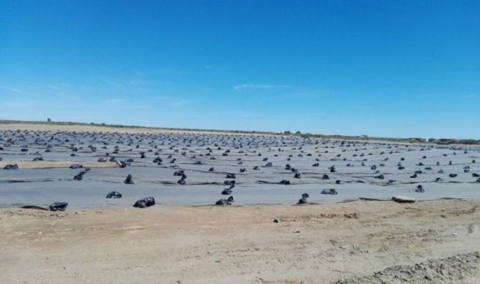 Río Negro: la Secretaría de Minería de la Nación instó a Taym a continuar con las tareas de remediación