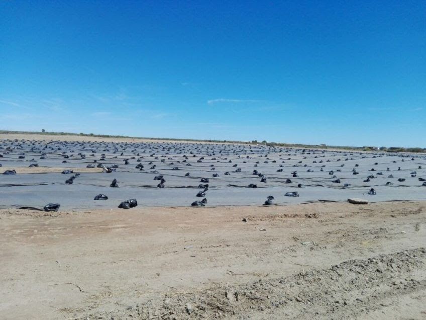 Río Negro reclamó a Nación por la remediación en SAO