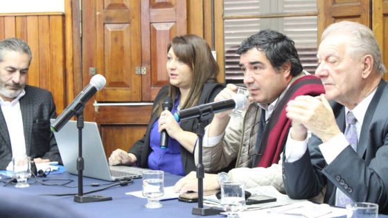 Salta/Actividad minera y Desarrollo Productivo: el Ejecutivo Provincial presentó un informe ante Senadores