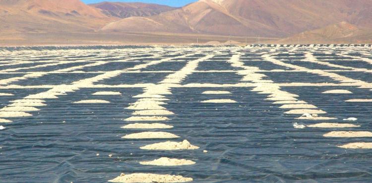 Salta: Fusión millonaria entre dos mineras extranjeras para extraer litio en la provincia