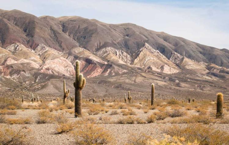 Salta: Podrían explotar oro y cobre en Cachi