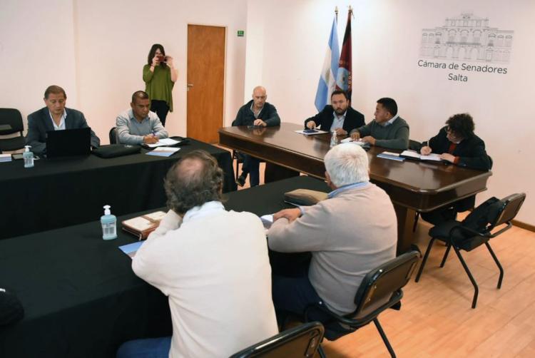 Salta: REMSA detalló en el Senado el trabajo que se desarrolla en las áreas de minería y energía