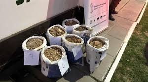 San Juan: El misterio de El Zancarrón; la mina de oro sin dueño visible que saquean hace años en la cordillera sanjuanina