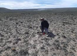 Santa Cruz: Targa expande el proyecto El Zanjón