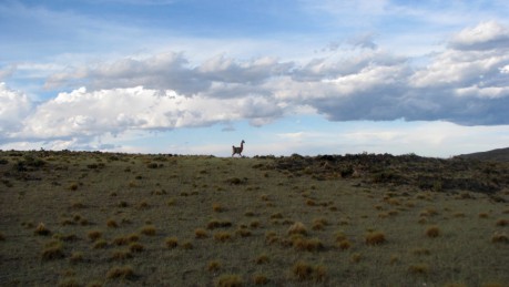 Semáforo ambiental: Mendoza agotada y atada con alambre