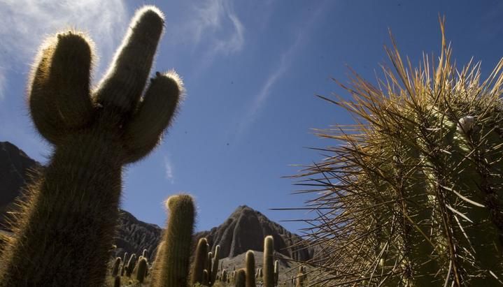 Salta: Tratando de salir del atolladero