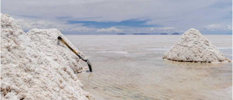 Triángulo del Litio: Expertos en Medioambiente reclaman mayor cooperación internacional Triángulo del Litio: Expertos en Medioambiente reclaman mayor cooperación internacional