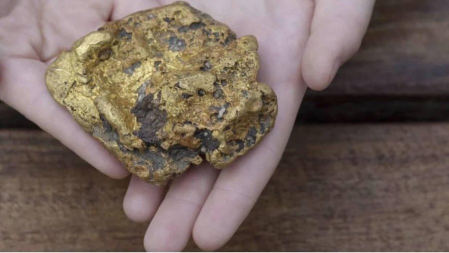 Una familia saca a pasear a su perro y halla un lingote de oro de más de medio kilo